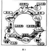 中国乡村数量变化 我国乡村伦理的悄然变化、成因与治理