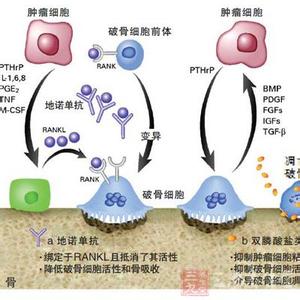 铁树叶治疗癌症 方子 一位道士自创的治疗各种癌症的方子【健康常识】