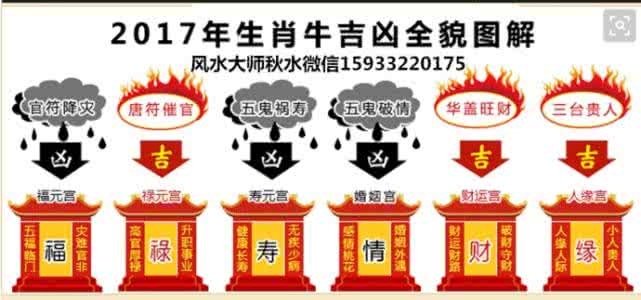属牛的人2018年运程 属牛的人2013年运程详解及