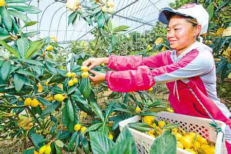 无限极中草药健康产品 首例中草药产品获英批准将上市