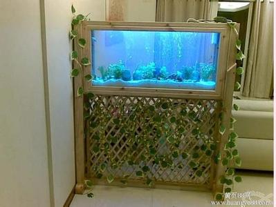 锦州二手鱼缸水族箱 【水族饲养】小型鱼缸怎么养鱼?