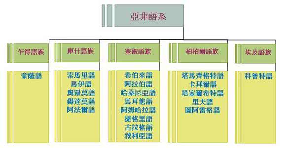 语系语族语支 世界语言谱系,介绍述什么是语系,语族,语支和语种等语言学基础知识