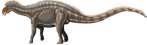 叉龙怎么读 叉龙