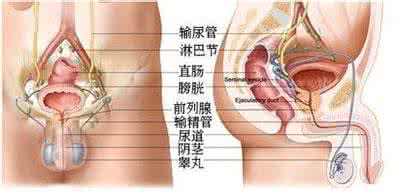 前列腺炎会自愈吗 前列腺炎的危害