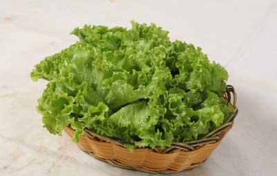 如何挑选生菜 如何挑选生菜?