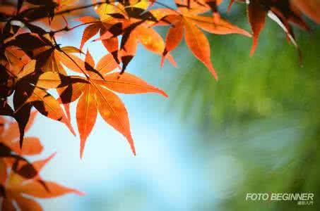 引人入胜 5个小技巧另你的照片更加引人入胜