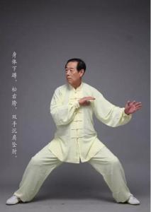 王西安拳法研究会 王西安拳法养生八式动作讲解（六）