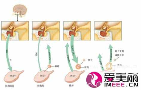 科学解析女人怎么避孕最好
