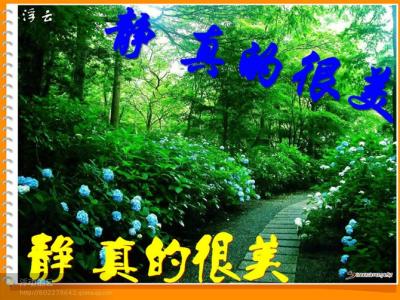 静真的很美 静 真的很美