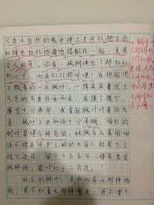 秋天的树叶作文500字 秋天的树叶作文800字 每日一字800：  树（800）