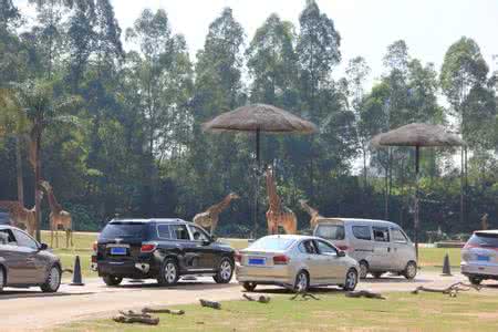 杭州野生动物园自驾游 杭州野生动物园自驾游 【杭州野生动物园】杭州野生动物园介绍及自驾线路
