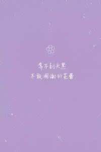 唯美散文让人落泪的 美到落泪的唯美句子