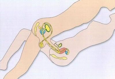 婚前性行为现状 日本同性性行为的生活现状