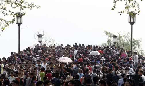 中卫沙坡头景区 清明节沙坡头 清明小长假 沙坡头景区人气爆棚