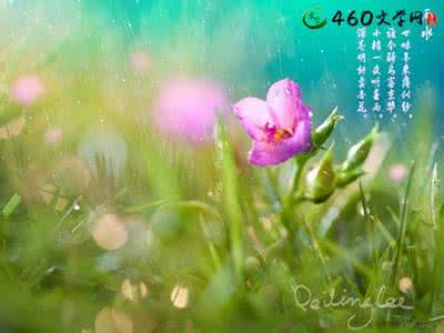 春雨的诗句 温暖是飘飘洒洒的春雨