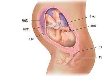 胎盘低置孕妇有感觉吗 孕妇胎盘低置怎么办