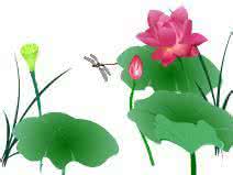 花开若相惜 爱是两心相惜，花开并蒂