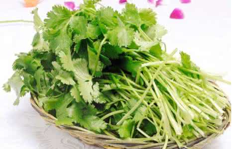 肾脏排毒 有种蔬菜能为肾脏排毒