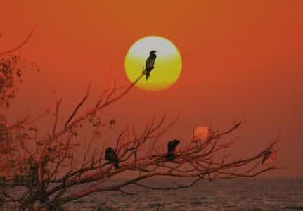 菜根谭 菜根谭：真地修行