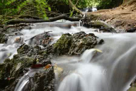 花溪全域旅游 花溪全域旅游 花溪全域旅游摄影大赛最新通知！