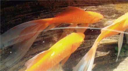 自律,图片 自律，是人生最尊貴的標配