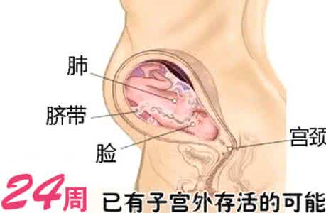 孕第21周胎儿真实图片 【怀孕21周】怀孕第21周胎儿图