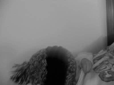 付出和收获成正比 努力图片 努力和收获成正比