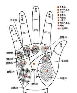 手相案例分析 手相个例分析