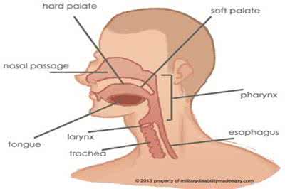 宝宝慢性支气管炎根治 慢性支气管炎的病因 宝宝支气管炎的病因