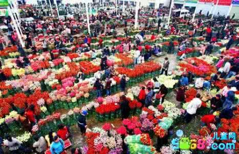 北京花卉市场批发市场 北京花卉批发市场 北京花卉市场有哪些