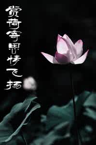 温暖心灵的情感美文 来生，不见不散【情感美文】