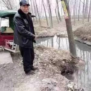 老人戴银手镯有讲究吗 冬季吃火锅健康有讲究 老人冬季洗头有什么讲究?