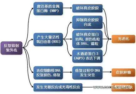 节能灯有紫外线吗 紫外线 需要担心节能灯的紫外线辐射吗?