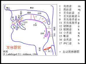 说话正确发声方法 正确发声方法