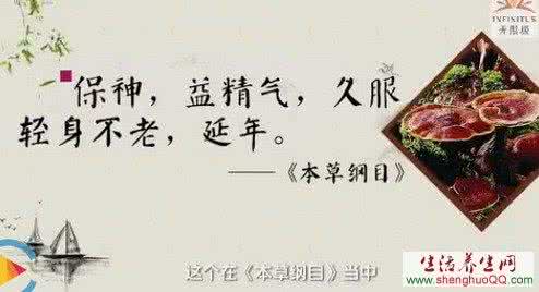 灵芝孢子粉的功效 灵芝孢子粉的功效与作用 正确食用利养生