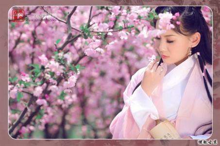 赋得落花诗十首 谁解落花语,谁为落花赋?