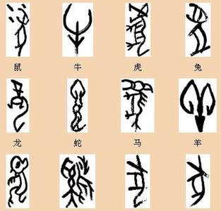 甲骨文的发展 甲骨文的介绍 甲骨文的发展介绍