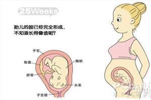 自我检测胎位正不正 如何判断胎位
