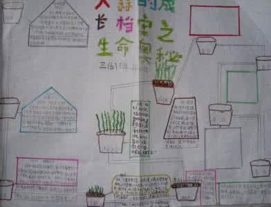 手抄报版面设计图大全 蒜宝宝成长记手抄报版面设计图