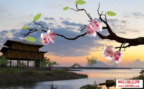 岁月的美好 岁月静好，邂逅每一份美好