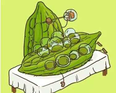 瘦身嫩肤 能清热解毒，能养颜嫩肤，还能帮助瘦身，你为什么不吃？