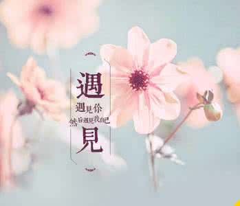 定制幸福挥霍 幸福那么缺货,请别肆意挥霍!