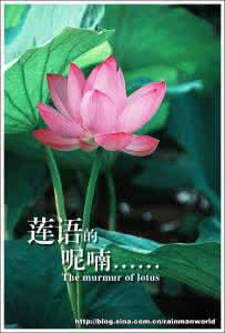 环球音乐极品典藏集 莲语的呢喃…【音乐典藏】