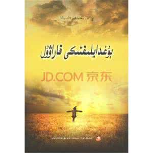 哈克贝利芬历险记电影 现代城市中的哈克贝利·芬《麦田里的守望者》