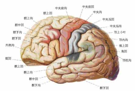 脑出血开颅手术后遗症 脑出血手术后遗症 脑出血手术后遗症的因素
