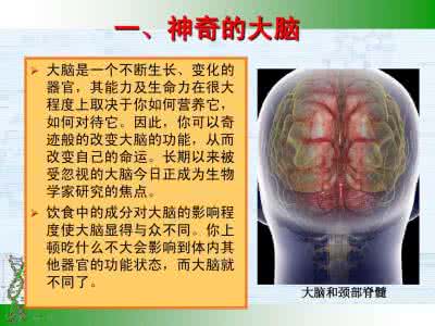 大脑最需要的营养物质 大脑最需要的10种营养