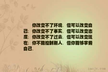你不能改变环境 你改变不了环境，但可以改变自已
