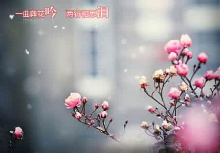 美文欣赏 一文一世界，一字一情感【美文欣赏】