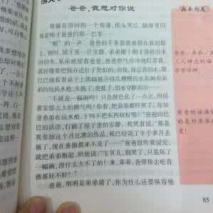 爸爸我想对你说作文480 爸爸,我想对您说作文400字