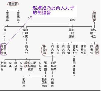赵姨娘 是谁把赵姨娘供到人人厌弃的地步